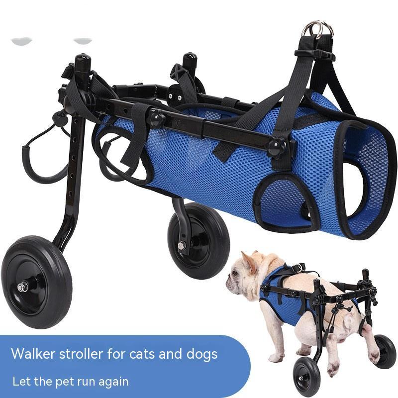 Pet Disabled Dog