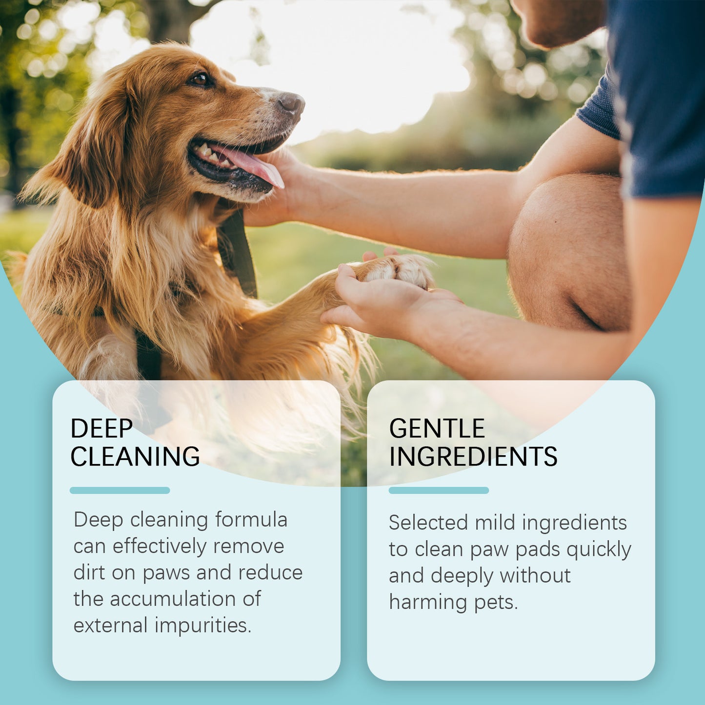 Dogs And Cats Paw Cleaner